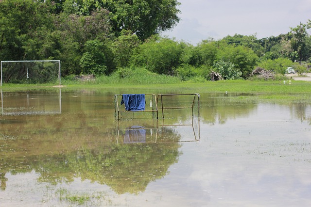 如今將帶著 如今將帶著